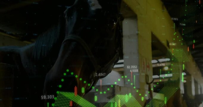 3D render of dark horse head wearing harness moving in barn while candlestick charts floating