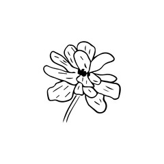 Minimalist Line Art Flower. Elegant Botanical Outline Illustrations