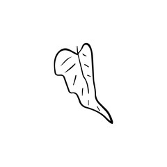 Minimalist Line Art Flower. Elegant Botanical Outline Illustrations