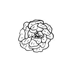 Minimalist Line Art Flower. Elegant Botanical Outline Illustrations