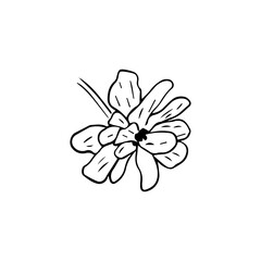 Minimalist Line Art Flower. Elegant Botanical Outline Illustrations