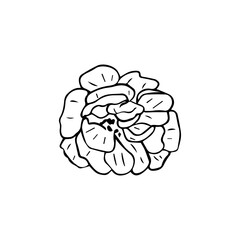 Minimalist Line Art Flower. Elegant Botanical Outline Illustrations