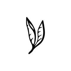 Minimalist Line Art Flower. Elegant Botanical Outline Illustrations