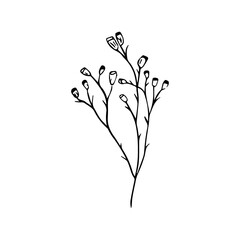 Minimalist Line Art Flower. Elegant Botanical Outline Illustrations