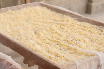 Orecchiette, a type of Italian pasta. Demonstration of the famous Apulian orecchiette common in Italy. Varieties of fresh pasta. Italian pasta in the shape of small ears. Handmade orecchiette pasta