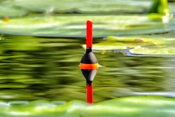 Fishing bobber in the forest lake among water lily