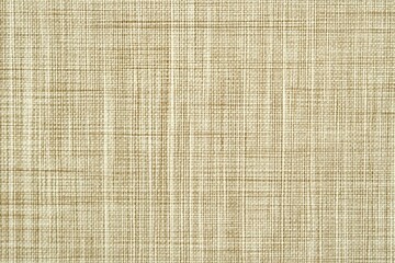 Beige woven fabric texture