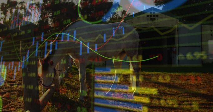 White horse grazing behind rail fence while translucent stock charts floating over grass at sunset