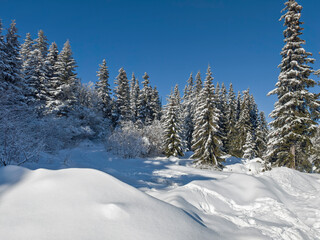 Panorama of Vitosha Mountain, Bulgaria