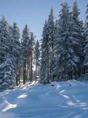 Panorama of Vitosha Mountain, Bulgaria