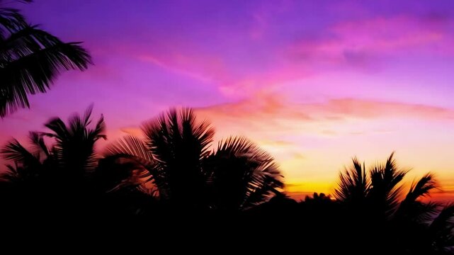 Silhouettes of palm trees against dramatically changing purple and orange sunset sky. The vibrant colors intensify from deep purple to fiery orange as twilight progresses creating a tropical paradise