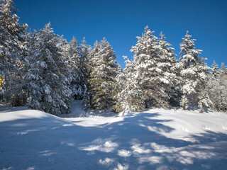 Fototapeta premium Panorama of Vitosha Mountain, Bulgaria