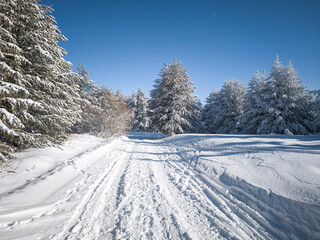 Obraz premium Panorama of Vitosha Mountain, Bulgaria
