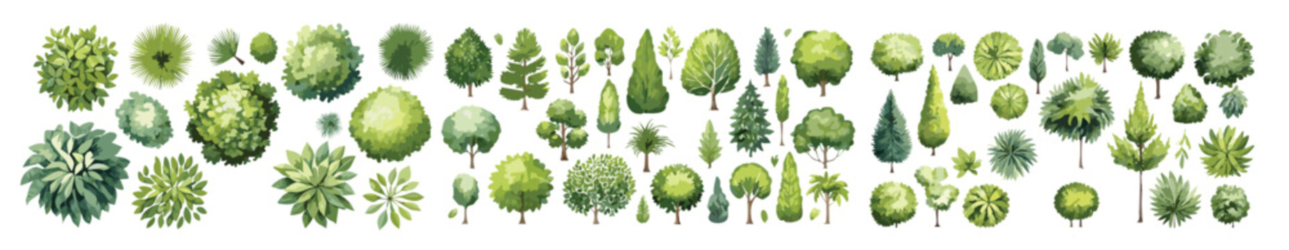 Vector set of Top view green tree for outdoor plan or map and architecture drawing, elements for environment and garden ,botanical elements ,Blooming flowers in spring,tropical plants element