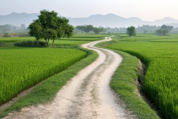 Obraz premium Peaceful rural path through lush green rice fields during early morning light in a mountainous landscape