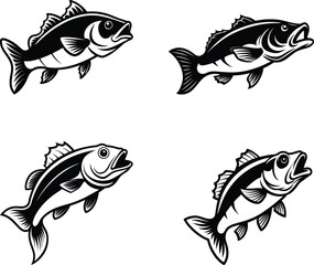 Set of Fish Illustrations – Black and White Bass Silhouettes