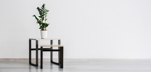 Stylish table with houseplant near white wall