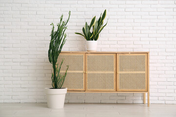 Big cactus and houseplant with commode near white brick wall in room
