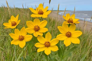 Vibrant Yellow Flowers Blooming Near Ocean Beach