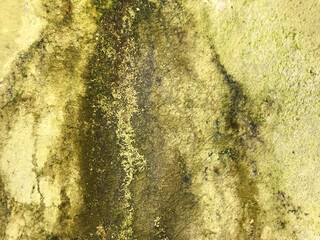 Detail of an old wall with water stains running down from the roof, fostering areas of green organic growth like moss or algae. Worn texture and faded colors.