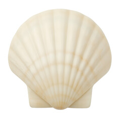 Isolated white chocolate seashell with intricate texture for elegant designs