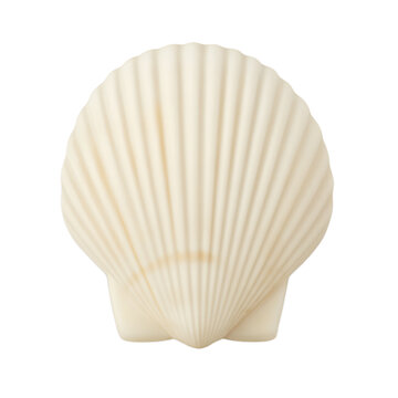Isolated white chocolate seashell with intricate texture for elegant designs