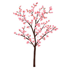 Fototapeta premium beautiful cherry blossom tree with delicate pink flowers full bloom, showcasing elegance and tranquility of nature. branches are adorned with vibrant blossoms, creating serene and picturesque
