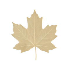 Isolated flat white chocolate maple leaf perfect for fall themed designs