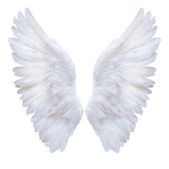 White angel wings with detailed feathers are spread open, symbolizing purity and freedom. wings are symmetrical and have soft, ethereal appearance, evoking sense of peace and grace