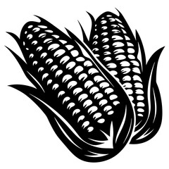 Monochrome vector illustration of two ears of corn with husks peeled back