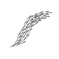 school of fish swims gracefully in coordinated formation, creating dynamic and fluid pattern against transparent background. image captures natural beauty and movement of marine life