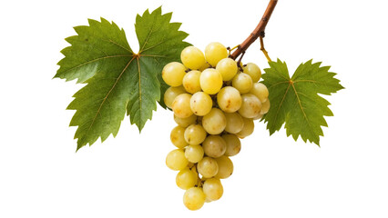 A bunch of ripe, pale yellow grapes on the vine with vibrant green leaves, set against a transparent background.