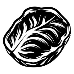 Artistic representation of a red cabbage head in black and white style