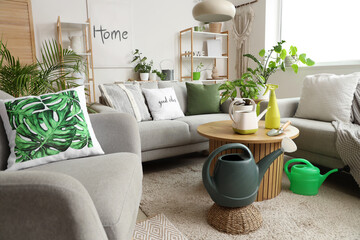 Interior of living room with green plants, sofas and armchair