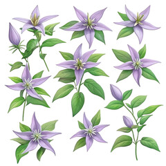 Fototapeta premium Purple flowers with green leaves are arranged in various patterns, showcasing their delicate petals and vibrant foliage. floral designs evoke sense of natural beauty and elegance