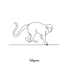 One continuous line drawing of Talapoin animal vector illustration. Primates animal themes in simple linear style vector design concept. Talapoin for your asset design and educational purpose.