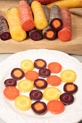 Colorful fresh raw purple, yellow, red and purple-orange carrots roots vegetables from greenhouse in the Netherlands