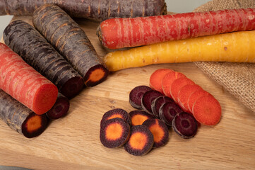 Colorful fresh raw purple, yellow, red and purple-orange carrots roots vegetables from greenhouse in the Netherlands