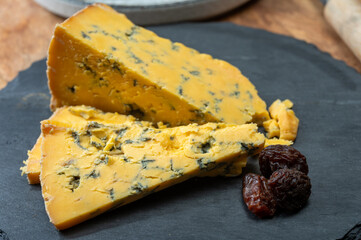 Cheese collection, English cow milk semi-soft, crumbly blue yellow shropshire cheeses close up,...