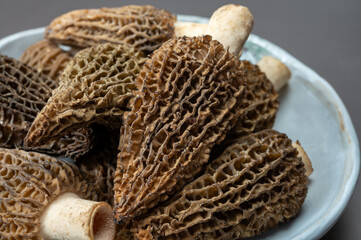 Raw spring mushrooms morchellas or true morels edible sac fungi for gourmet cooks, in Catalan and French cuisine