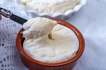 Eating of french dauphinois cheeses collection, Saint-Marcellin, Saint- Felicien cow's milk cheese...