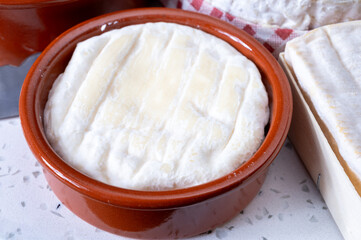 French dauphinois cheeses collection, Saint-Marcellin, Saint- Felicien cow's milk cheese with white mold from Rhône-Alpes region of France