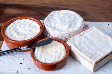 French soft cheeses collection, Saint-Marcellin, Saint- Felicien, Camembert, Pont l'eveque cow's...