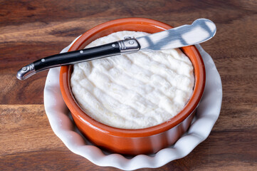 French dauphinois cheeses collection, Saint-Marcellin, Saint- Felicien cow's milk cheese with white...
