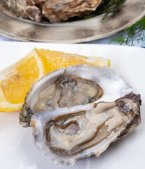 Plate with fresh live raw Fine de Claire Oleron oysters seashells served oyster-farming village, Marennes Oleron area, France