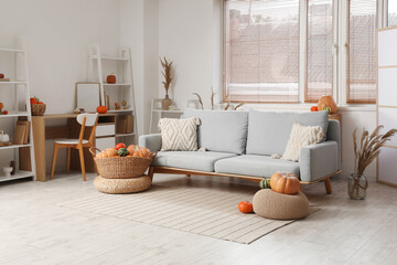 Living room interior with grey sofa, workplace and wicker basket of different pumpkins