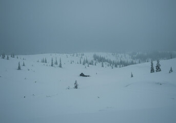 Snowy Winter Cabin in Forest Landscape with Heavy Snowfall and Overcast Sky