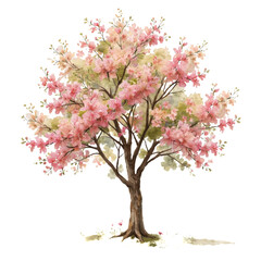 A watercolor painting of a blossoming tree with pink and peach flowers on a transparent background, its brown trunk grounded by small flowers at its base.