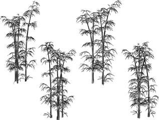 Obraz premium bamboo tree plant design vector illustration sketch for garden decoration 