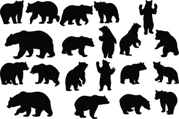 Set of bear silhouette vector illustration, bear in various pose